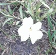 20180815_123704